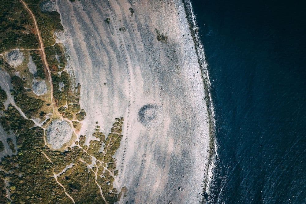 Test Your Microbiome IQ: How is Your Health Linked to the World Microbiome?