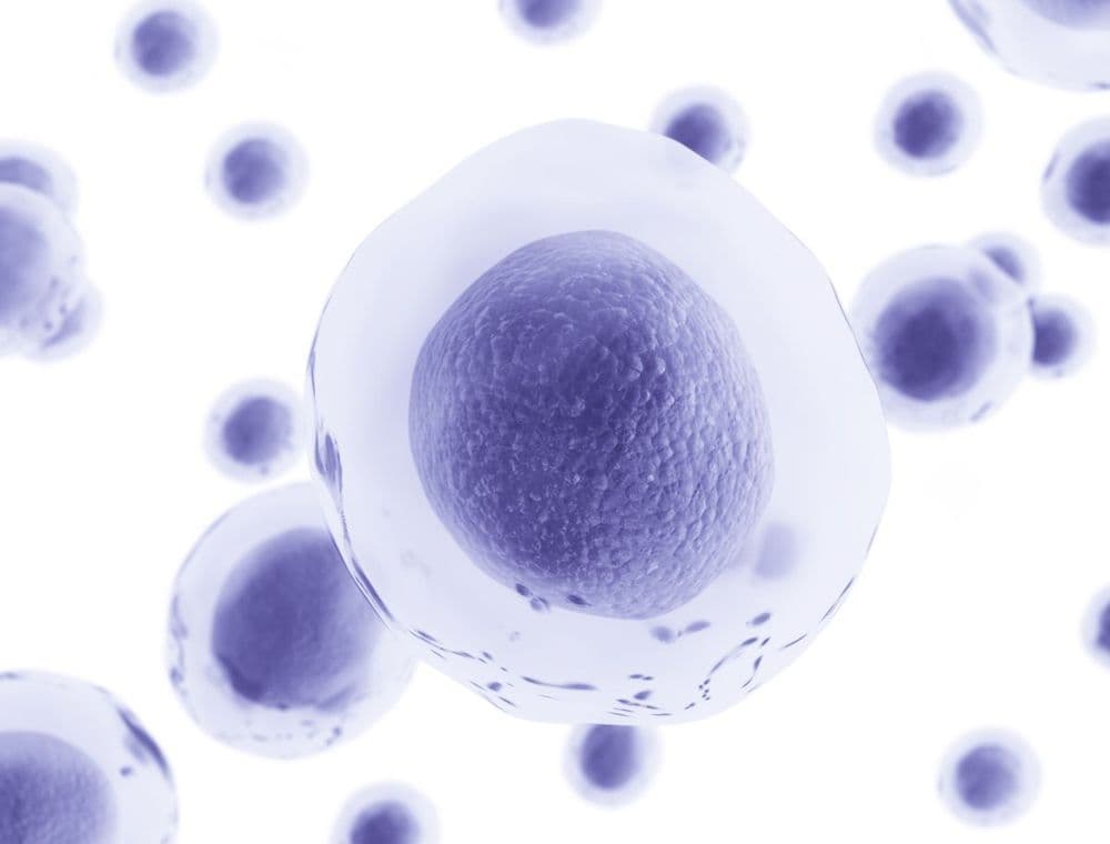 Unseen Bonds: How Relationships and Daily Interactions Influence Our Microbiota