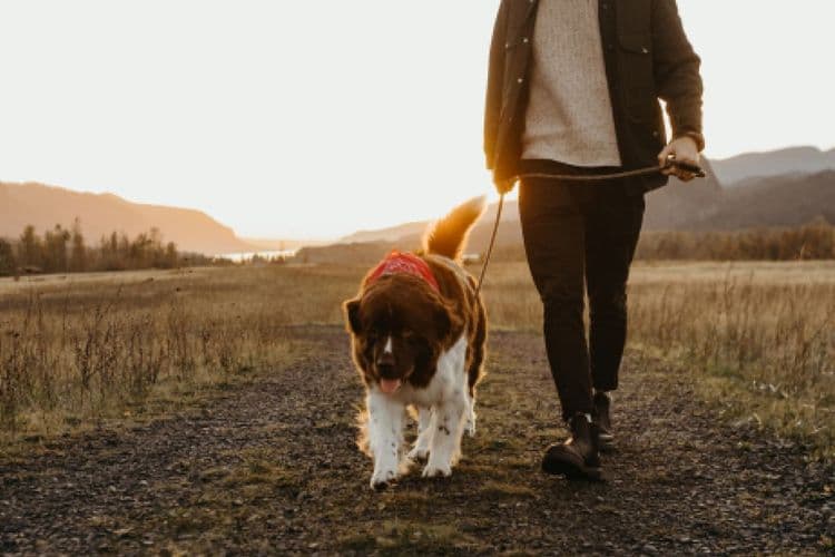 5 Quick Ways to Begin Restoring Gut Balance After the Holidays