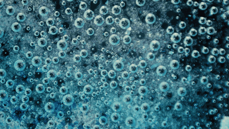 The Hidden Connection: How Your Gut Bacteria Shapes Your Body