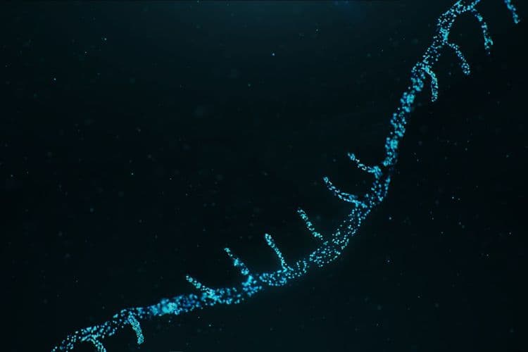 RNA: The New Three-Letter Word Revolutionizing Healthcare