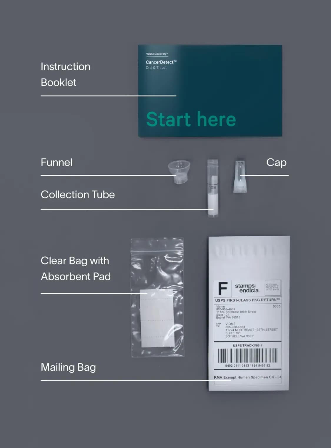 Inside your test collection kit