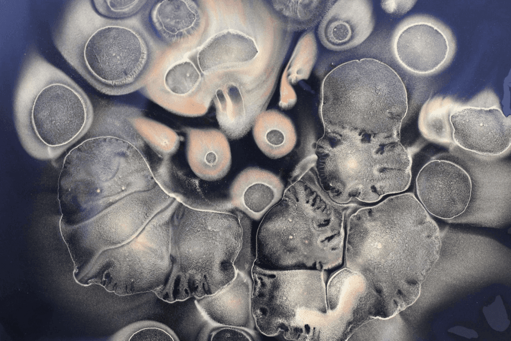 The Oral-Brain Axis: Unraveling the Secrets to a Healthy Mind and Body