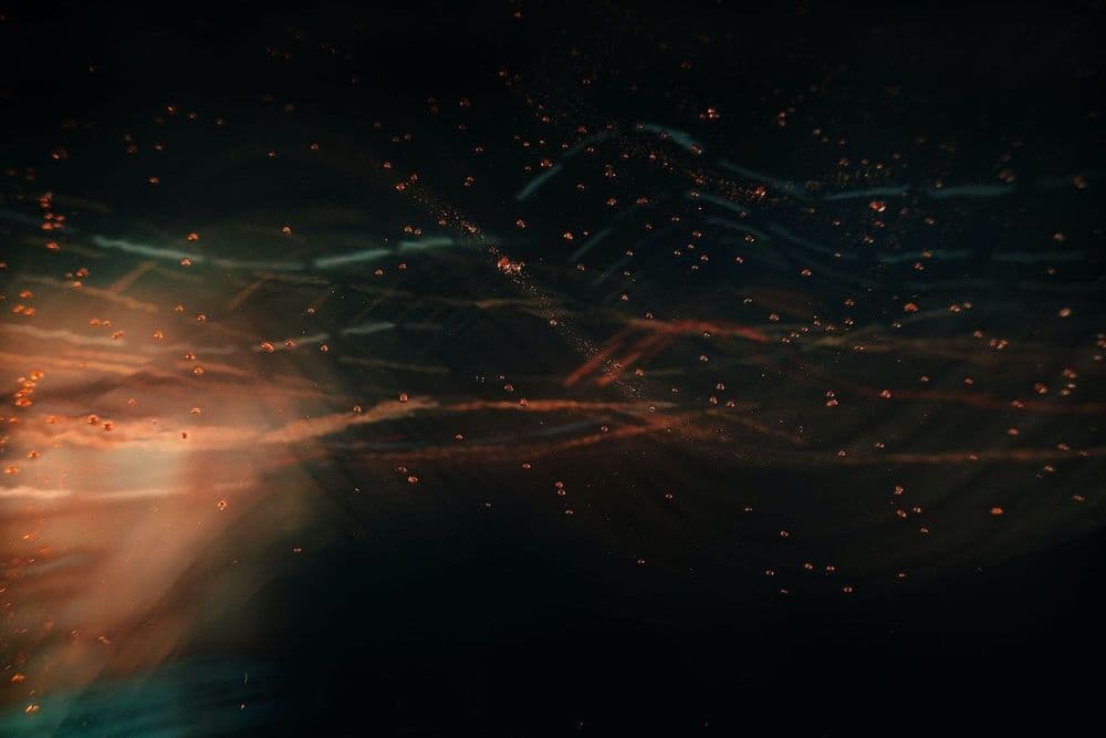 Your Microbiome Can Impact Your Glycemic Response