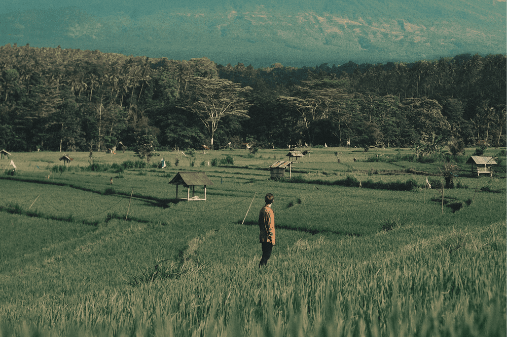 Science-Driven Strategies to Put Wellness Into Action