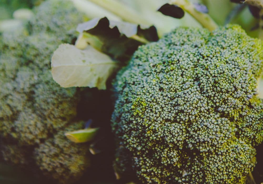 The “Superfood” Conundrum: How Someone’s Superfood May Not Be So Super for You