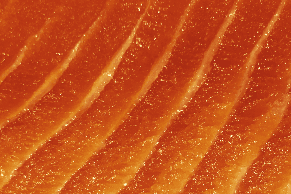 Food for Thought: 10 Brain Healthy Foods for Peak Performance