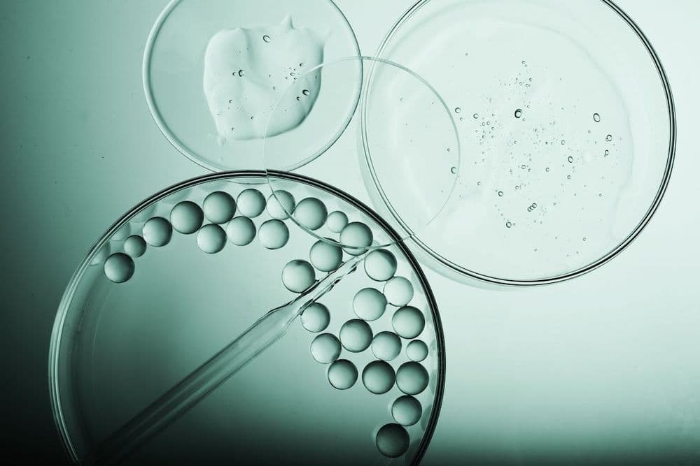 Biochemical Individuality: How Our Biology Influences What We Should Eat