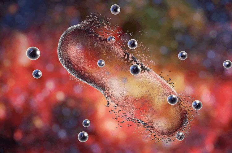 Could Your Gut Microbiome Hold the Answer to New Antibiotics?