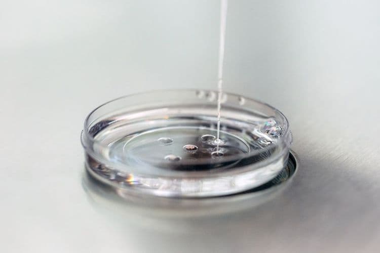 Join the Citizen Scientists: The Future of Science All Depends on YOU