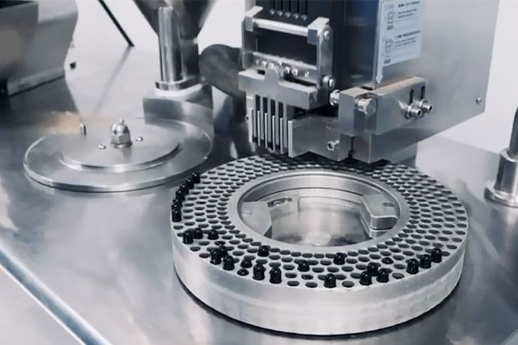 Personalized Nutrition and Supplements: Understanding the Science