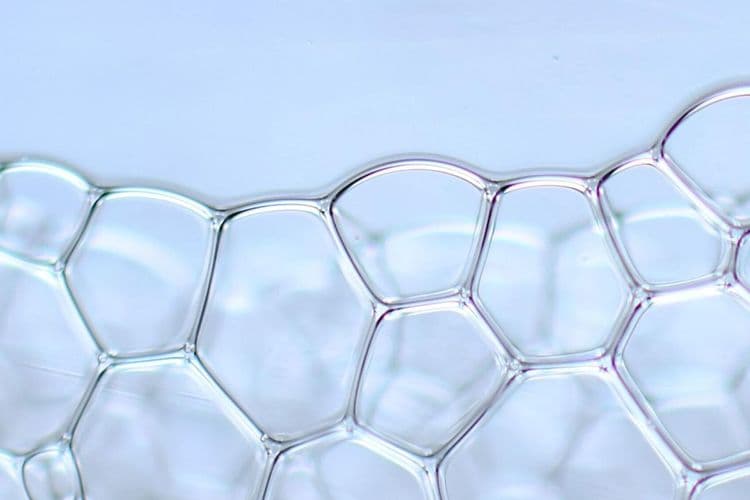 Genetics or Lifestyle: What Are the Secret Origins of Your Oral Microbiome?