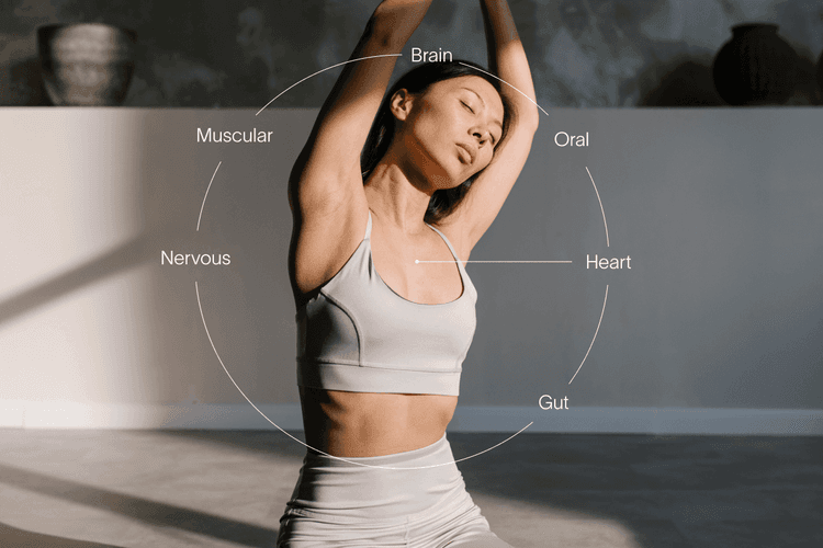 Holistic Health: Why a Whole-Body Approach to Health Matters